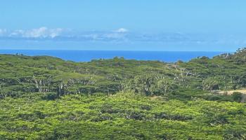 3969  Lepo St , Haiku home - photo 4 of 48