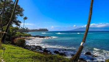 Polynesian Shores condo # 114, Lahaina, Hawaii - photo 2 of 31