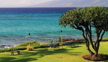 Polynesian Shores condo # 223, Lahaina, Hawaii - photo 3 of 27
