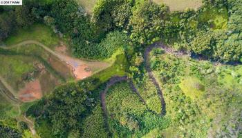 397 B Burns Rd , Hi vacant land for sale - photo 6 of 9