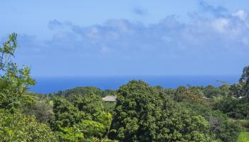 3980  Hana Hwy , Haiku home - photo 3 of 33