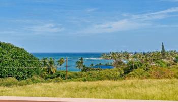 4  Laelua Pl Kuau, Spreckelsville/Paia/Kuau home - photo 3 of 47