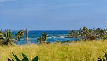 4  Laelua Pl Kuau, Spreckelsville/Paia/Kuau home - photo 5 of 47