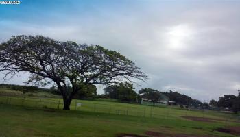 4  Paihua St , Makawao/Olinda/Haliimaile home - photo 2 of 6