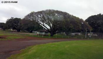 4  Paihua St , Makawao/Olinda/Haliimaile home - photo 3 of 6