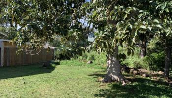 40 Mokuahi St Off Makani Road, Makawao/Olinda/Haliimaile home - photo 5 of 30