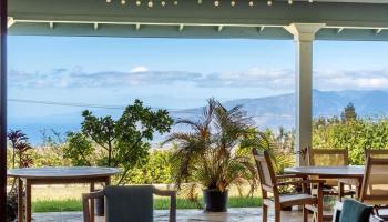 40  Pulehu Nui Rd , Kula/Ulupalakua/Kanaio home - photo 3 of 49