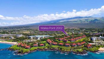 Wailea Point I II III condo # 2002, Kihei, Hawaii - photo 4 of 30