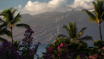 Wailea Point I II III condo # 2003, Kihei, Hawaii - photo 2 of 42