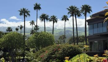 Wailea Point I II III condo # 2101, Kihei, Hawaii - photo 6 of 43
