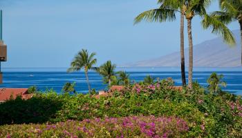 Wailea Point I II III condo # 2103, Kihei, Hawaii - photo 3 of 43