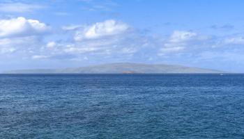 Wailea Point I II III condo # 502, Kihei, Hawaii - photo 5 of 48