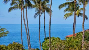 Wailea Point I II III condo # 901, Kihei, Hawaii - photo 4 of 48