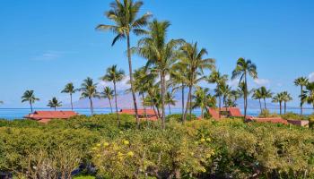 Wailea Point I II III condo # 901, Kihei, Hawaii - photo 5 of 48