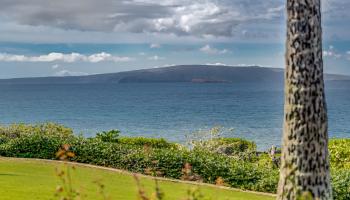 Wailea Point I II III condo # 601, Kihei, Hawaii - photo 4 of 29