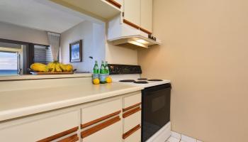 Mahinahina Beach condo # 208, Lahaina, Hawaii - photo 6 of 20