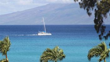 Mahinahina Beach condo # 211, Lahaina, Hawaii - photo 2 of 25