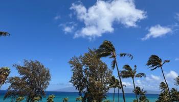 Mahinahina Beach condo # 212, Lahaina, Hawaii - photo 3 of 47