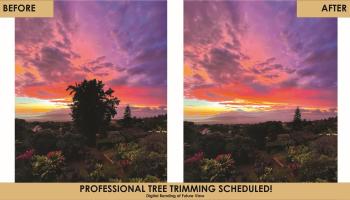 4010  Kula Hwy , Kula/Ulupalakua/Kanaio home - photo 3 of 43