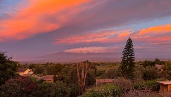 4010  Kula Hwy , Kula/Ulupalakua/Kanaio home - photo 3 of 43