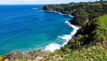 402 Mehana Rd   - photo 2 of 20