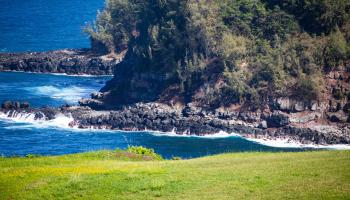 402 Mehana Rd   - photo 4 of 20