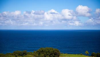 402 Mehana Rd   - photo 5 of 20