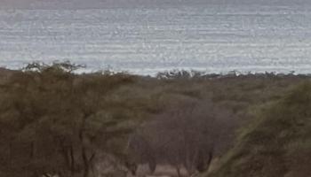 403  Pa Loa Loop Papuhaku Ranchlands, Molokai home - photo 3 of 33