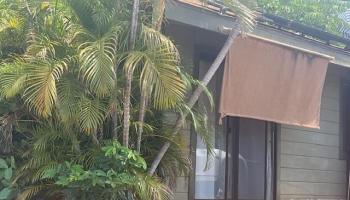 4038  Mahinahina Pl , Napili/Kahana/Honokowai home - photo 3 of 12