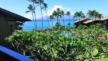 Mahina Surf condo # 218, Lahaina, Hawaii - photo 3 of 28