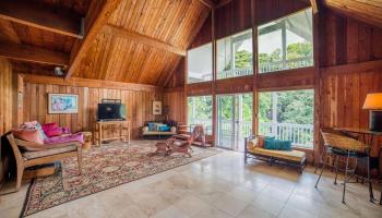 40685  Hana Hwy Kipahulu, Hana home - photo 3 of 35