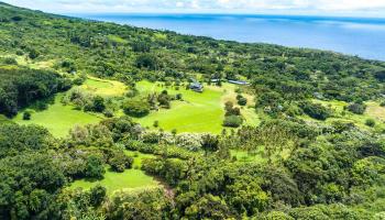 40723  Hana Hwy Kipahulu, Hana home - photo 3 of 25