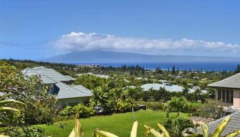 408  Monarch Pl Pineapple Hill, Kapalua home - photo 4 of 29