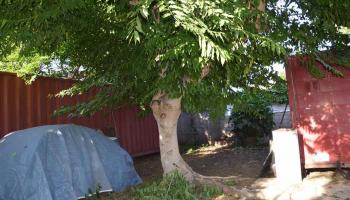 408 WAIEHU BEACH Rd  Wailuku, Hi vacant land for sale - photo 6 of 17