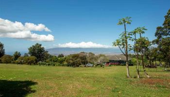 409 Hoopalua Dr  Pukalani, Hi vacant land for sale - photo 2 of 15