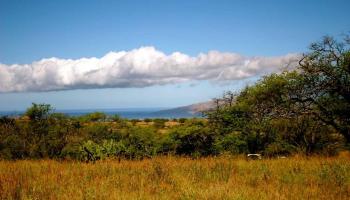 41 Ikena Kai Pl Lot 2 Kula, Hi 96790 vacant land - photo 4 of 25 41 Ikena Kai Pl Lot 2 Kula, Hi 96790 vacant land - photo 4 of 25