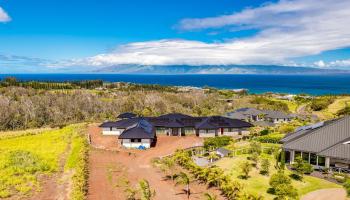 410  Mahana Ridge St Kapalua, Kapalua home - photo 3 of 31