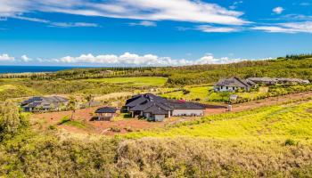 410  Mahana Ridge St Kapalua, Kapalua home - photo 5 of 31