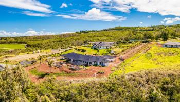 410  Mahana Ridge St Kapalua, Kapalua home - photo 6 of 31