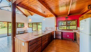 41049  Hana Hwy Kipahulu, Hana home - photo 5 of 38