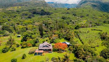 41049  Hana Hwy Kipahulu, Hana home - photo 6 of 38