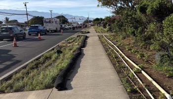 412  Puunene Ave 1st Increment Kahului, Kahului home - photo 2 of 18