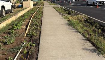 412  Puunene Ave 1st Increment Kahului, Kahului home - photo 3 of 18