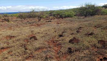 4131 Pohakuloa Rd Lot # 189 Maunaloa, Hi vacant land for sale - photo 3 of 15