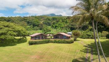 41647  Hana Hwy Kipahulu, Hana home - photo 2 of 30