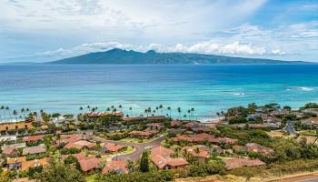 42  Aekai Pl , Napili/Kahana/Honokowai home - photo 2 of 39
