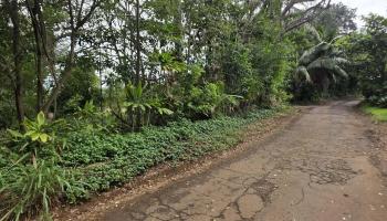 420  Haumana Rd , Haiku home - photo 3 of 31