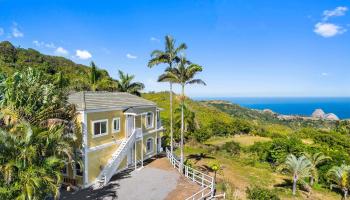 425  Kaukini Loop Cliffs At Kahakulo,  home - photo 1 of 37