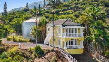 425  Kaukini Loop Cliffs At Kahakulo, Kahakuloa home - photo 6 of 37