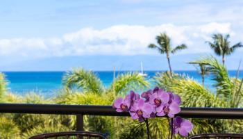 Sands of Kahana condo # 134, Lahaina, Hawaii - photo 3 of 50